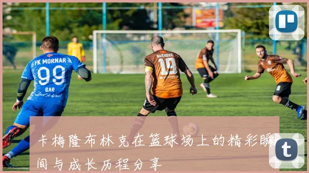 卡梅隆布林克在篮球场上的精彩瞬间与成长历程分享